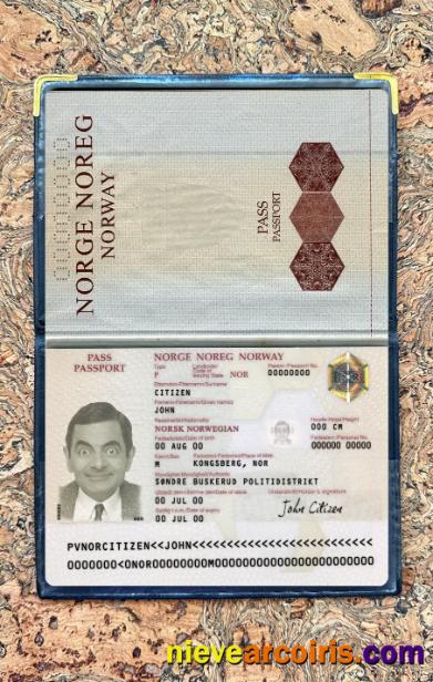Norway passport version 2 photolook